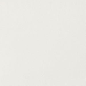 Kerwin Velvet Upholstered Dining Side Chair - White (Set of 2)