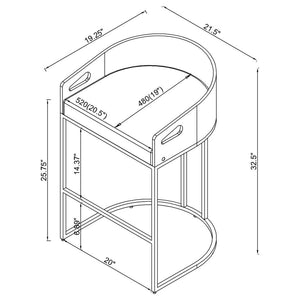 Thermosolis Clear Acrylic Counter Chair - Chrome (Set of 2)