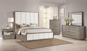 Durango Dresser Mirror - Washed Oak
