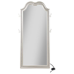Evangeline Full Length LED Light Floor Mirror - Silver Oak