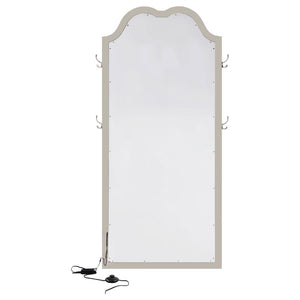 Evangeline Full Length LED Light Floor Mirror - Silver Oak