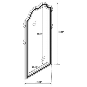 Evangeline Full Length LED Light Floor Mirror - Silver Oak