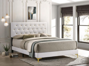 Kendall Upholstered Queen Panel Bed - White