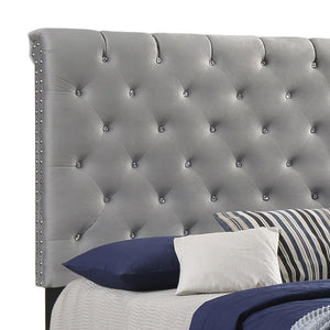 Warner Upholstered Queen Panel Bed - Grey