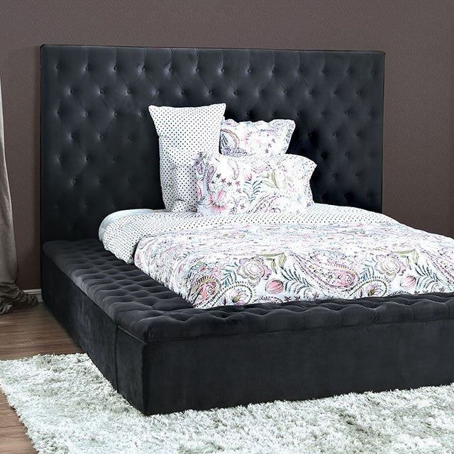 Davida Platform Storage Bed - Dark Gray Velvet